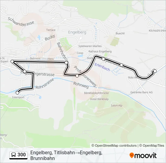 300 Bus Line Map