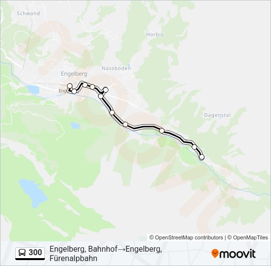 300 Bus Line Map