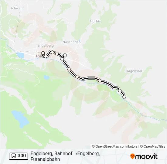 300 Bus Line Map