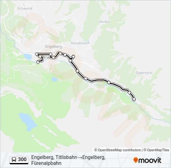 300 Bus Line Map