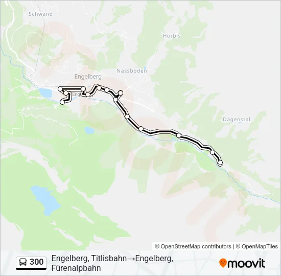 300 Bus Line Map