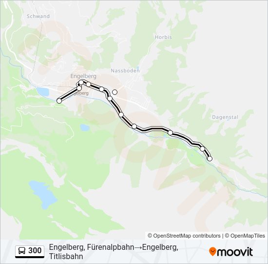 300 Bus Line Map