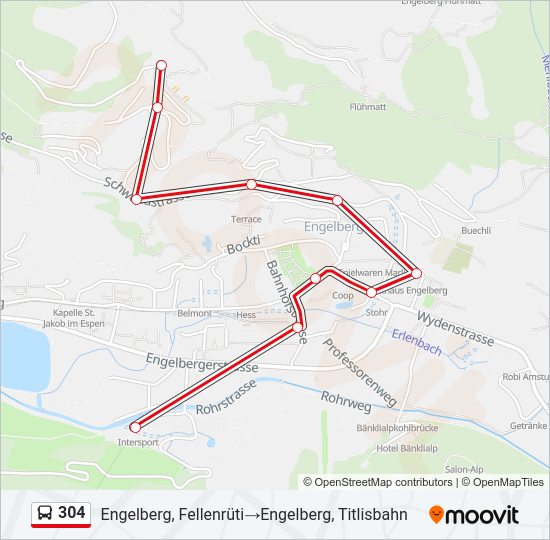 304 Bus Line Map