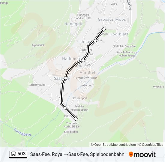 503 Bus Line Map