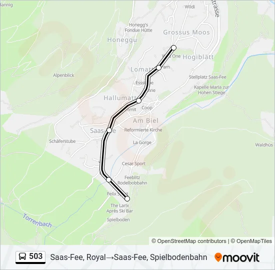 503 Bus Line Map