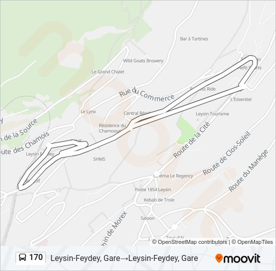 170 Bus Line Map