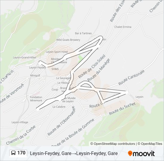 170 Bus Line Map