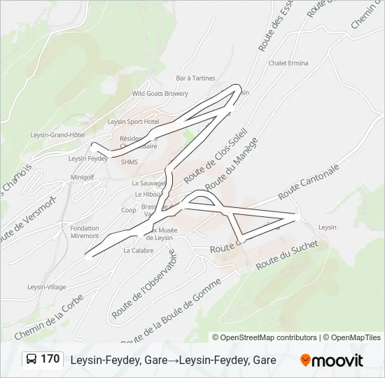 170 Bus Line Map