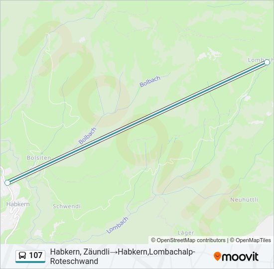 107 Bus Line Map