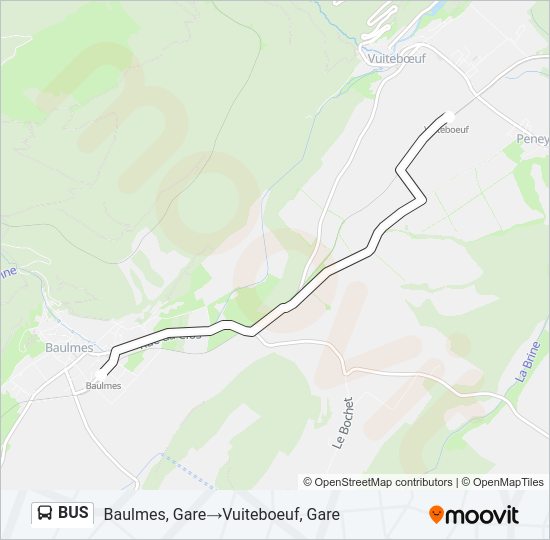 BUS Line Map