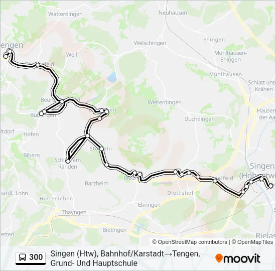 300 Bus Line Map
