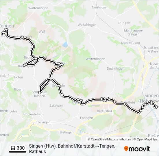 300 Bus Line Map