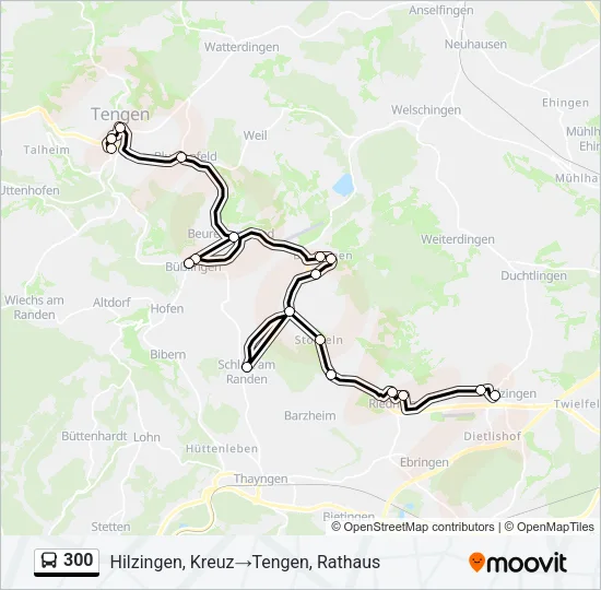 300 Bus Line Map