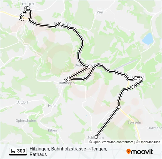 300 Bus Line Map