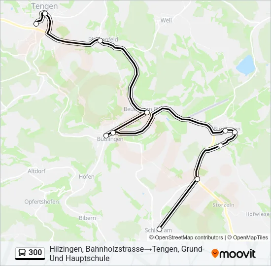 300 Bus Line Map
