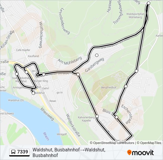 7339 Bus Line Map