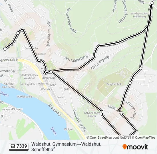 7339 Bus Line Map