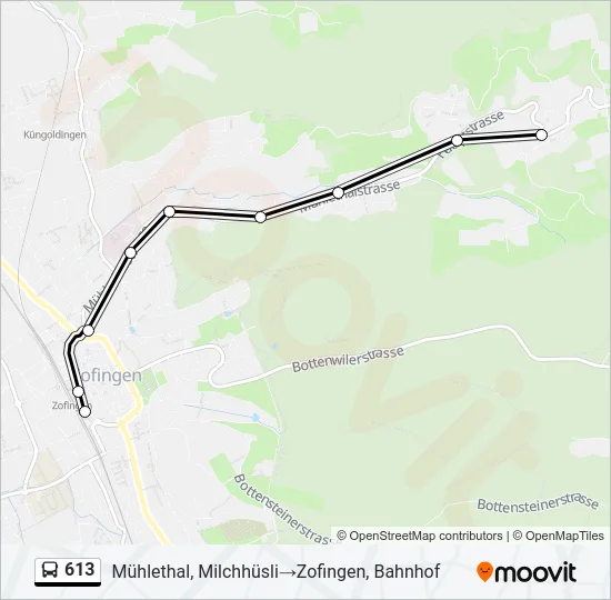 613 Bus Line Map