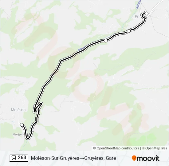 263 Bus Line Map
