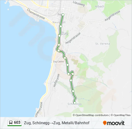 603 Bus Line Map