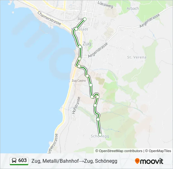 603 Bus Line Map
