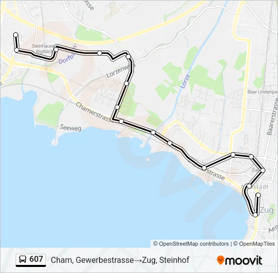 607 Bus Line Map