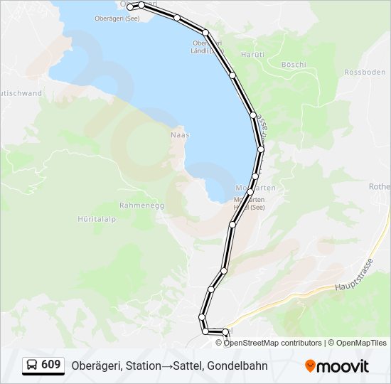 609 Bus Line Map