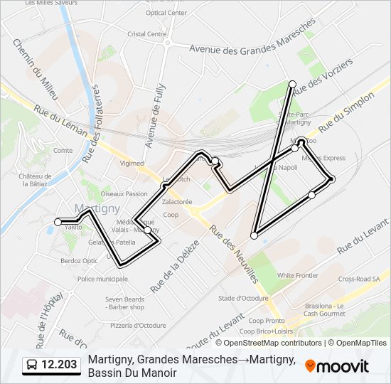 12.203 Bus Line Map
