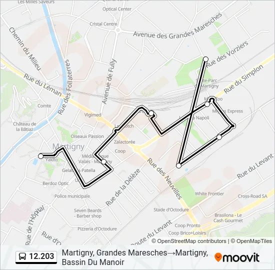 12.203 Bus Line Map