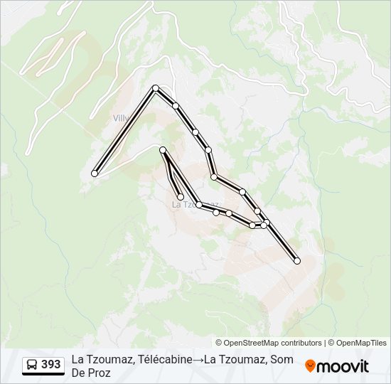 393 Bus Line Map