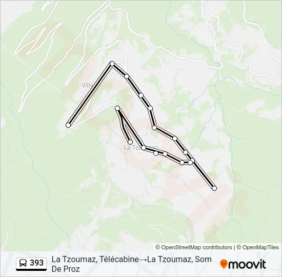 393 Bus Line Map