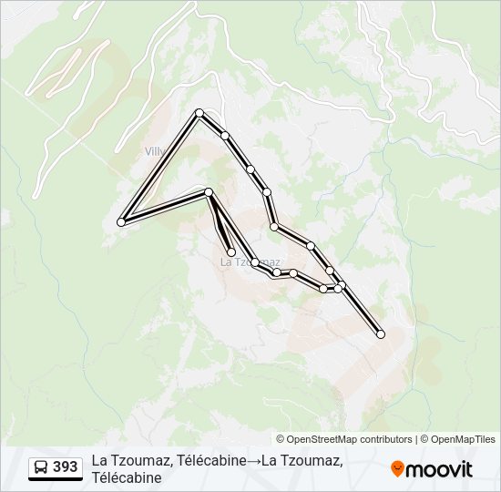 393 Bus Line Map