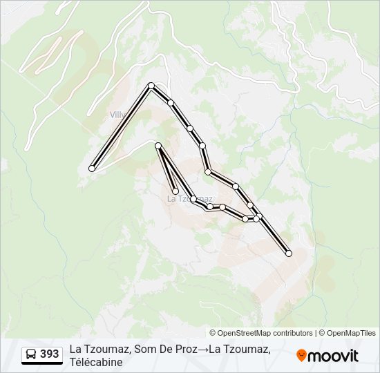 393 Bus Line Map