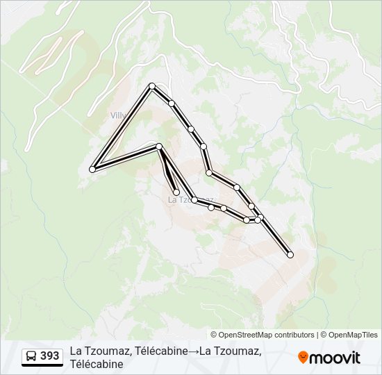 393 Bus Line Map