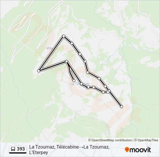 393 Bus Line Map