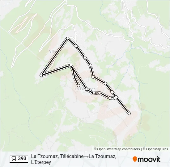 393 Bus Line Map