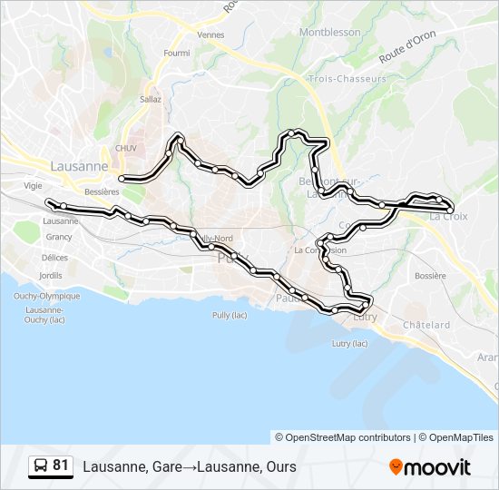 81 Bus Line Map