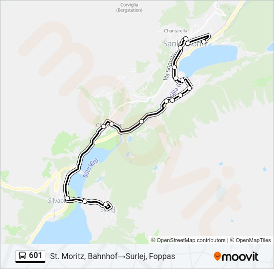 601 Bus Line Map