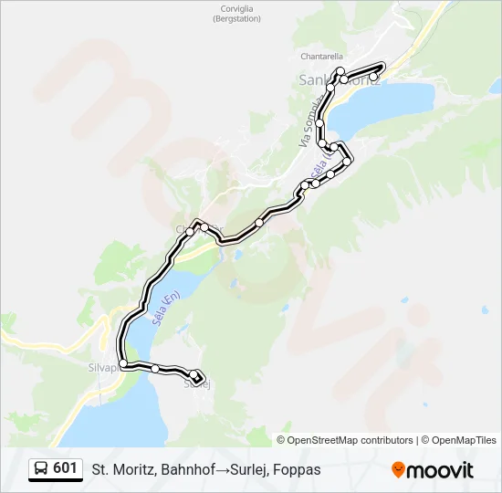 601 Bus Line Map
