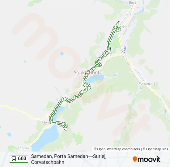 603 Bus Line Map