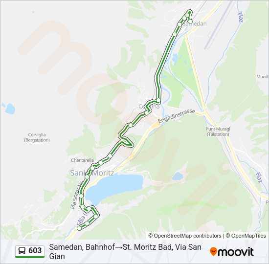 603 Bus Line Map