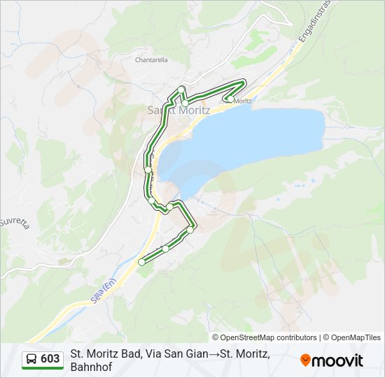 603 Bus Line Map