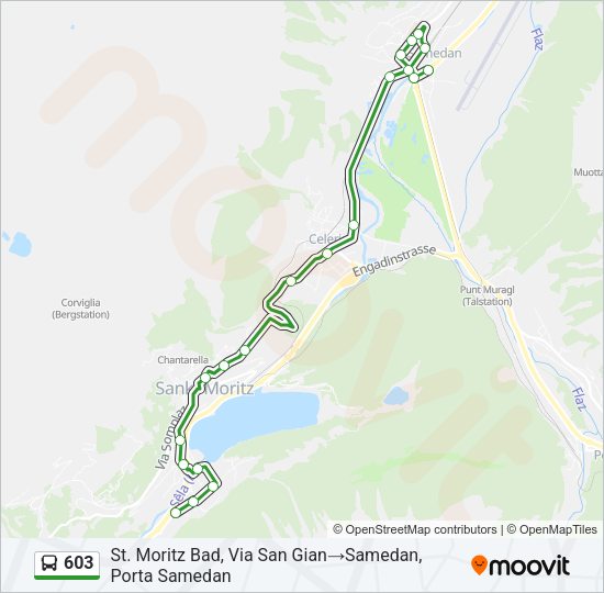 603 Bus Line Map