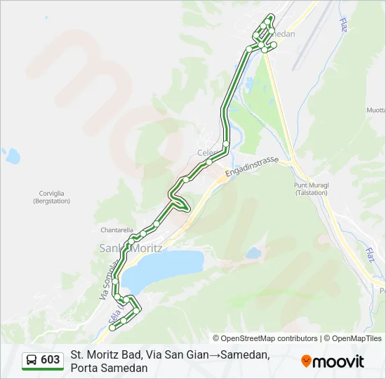 603 Bus Line Map