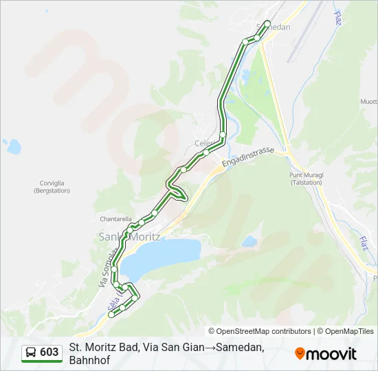 603 Bus Line Map
