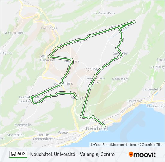 603 Bus Line Map