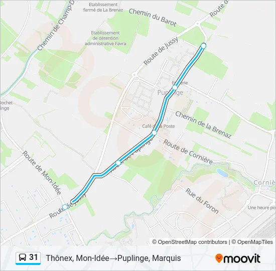 31 Bus Line Map