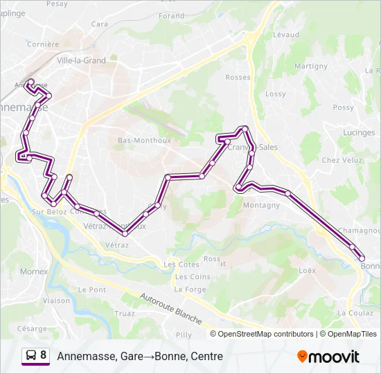 8 Bus Line Map