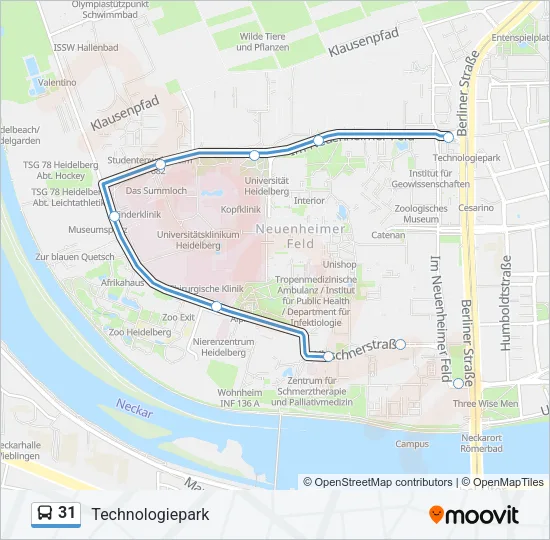 31 Bus Line Map
