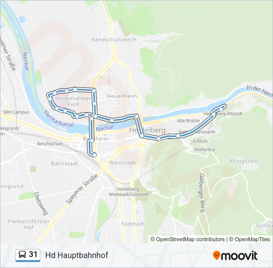 31 Bus Line Map